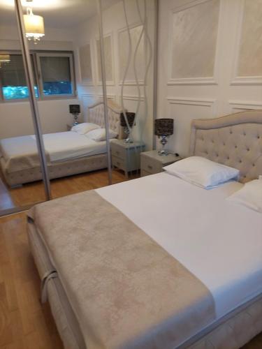 布德瓦Jana apartment Budva的一间卧室配有两张床和镜子