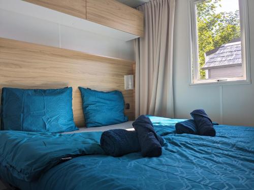 KropswoldeModern 6P Tiny SolHouse 6 - Near Groningen的一间卧室配有一张带蓝色枕头的床和一扇窗户。