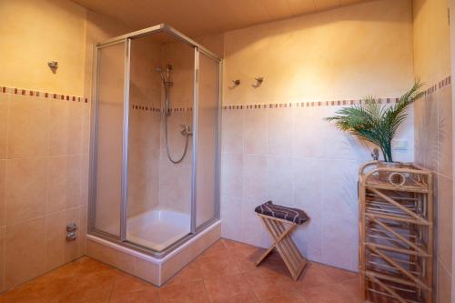 德雷施维茨Landruhe的浴室里设有玻璃门淋浴