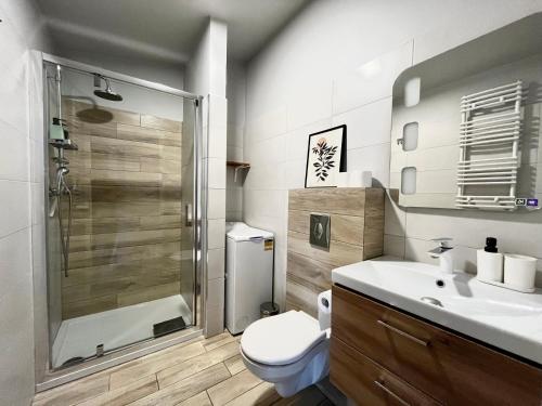 比得哥什City Center Apartments z parkingiem的带淋浴、卫生间和盥洗盆的浴室