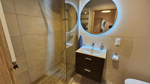 奥帕莱尼察Apartament Zamkowa的一间带水槽和镜子的浴室