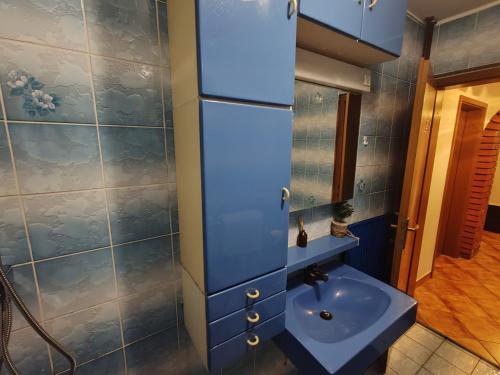 斯玛杰克托莱塞Apartment Prešeren的浴室配有水槽和蓝色瓷砖墙壁。