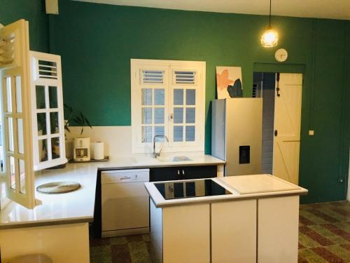 Rivière-PiloteVilla Coquelicot的厨房设有绿色的墙壁和白色的橱柜。
