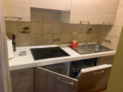 卡里索洛Carè Alto的厨房配有水槽和开放式洗碗机