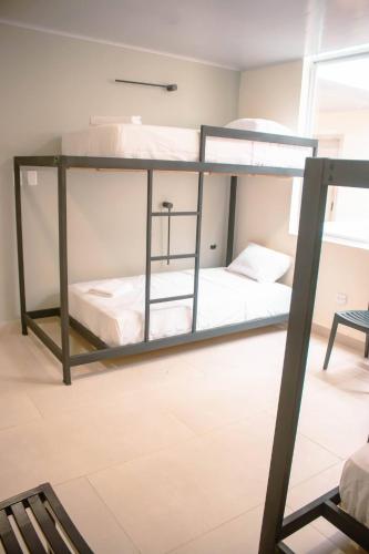 新洛哈Hotel Amazonas Suite, Habitación con literas的一间客房内配有两张双层床的房间