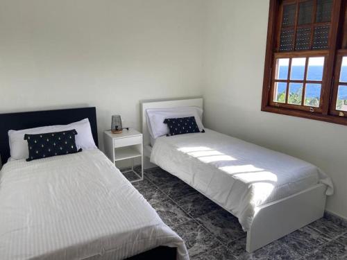 蓬塔利亚纳Casa Costa Molina的一间卧室设有两张床和窗户。