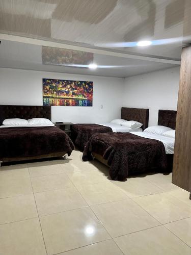 马尼萨莱斯Amarena Hotel Boutique的一间卧室设有两张床,墙上挂着一幅画