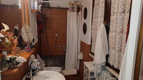 菲利内瓦尔达诺Casale Toscano in aperta campagna的带淋浴、盥洗盆和卫生间的浴室