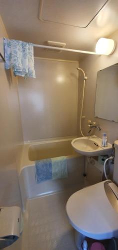 白马村snowhere ski lodge的浴室配有盥洗盆、卫生间和浴缸。