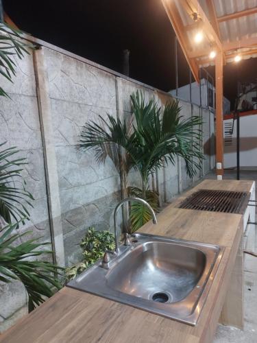 雅科Casas Dñ Juanita的不锈钢水槽,厨房里装有植物