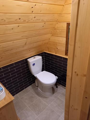 FalsztynDacza Zakątek的小木屋内带卫生间的浴室