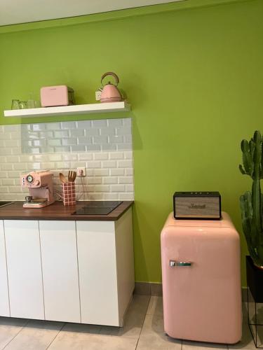 阿尔勒Appartement Ibiz’Arles的厨房配有粉色冰箱和绿色墙壁