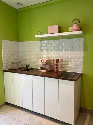 阿尔勒Appartement Ibiz’Arles的厨房配有白色橱柜和绿色墙壁