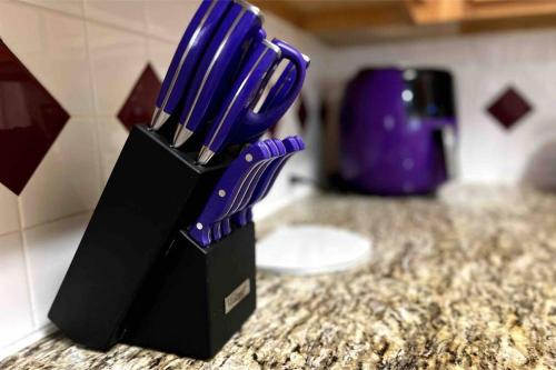 弗赖拉辛Amazing Location Home w/ Bathtub的刀片,在柜台上用紫色刀