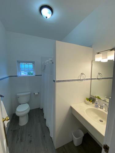 汉密尔顿艾格山庄园旅馆的一间带卫生间、水槽和镜子的浴室