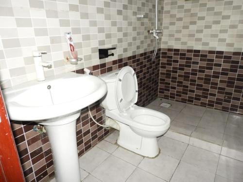 达累斯萨拉姆MJ Hosting的一间带卫生间和水槽的浴室