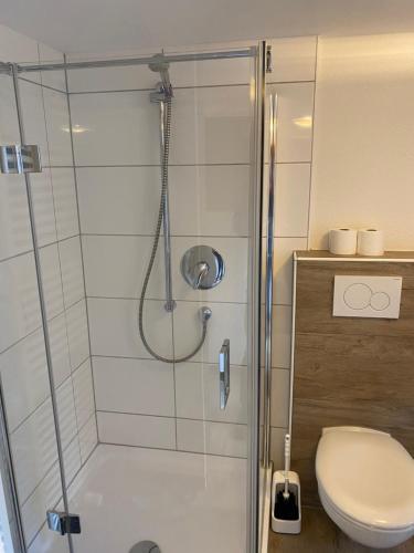 施韦比施哈尔Apartment in der Altstadt的带淋浴和卫生间的浴室