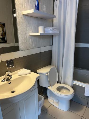 泰勒博恩Motel la siesta de gascon的浴室配有白色卫生间和盥洗盆。