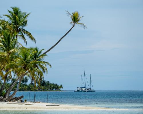 Isla Wichitupo GrandePrivate Sailingyacht "Guji" With Crew All Inclusive的海滩上的棕榈树,水中有一船