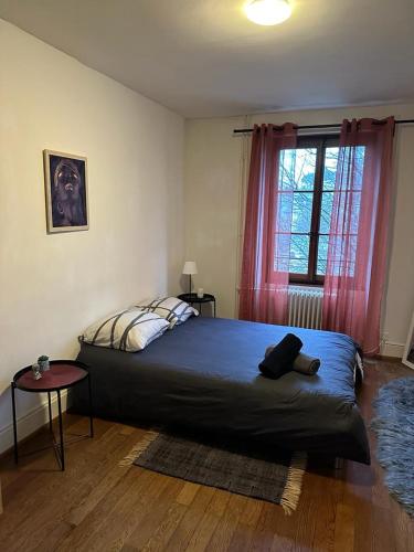 蒙特勒Chambre double Montreux centre vue lac的一间卧室配有床和一个带粉红色窗帘的窗户。
