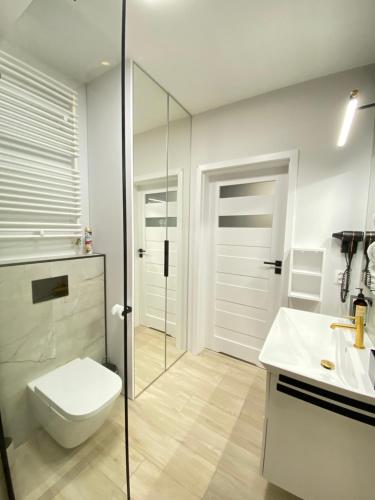 什切青Apartament Środowa by Prestige Home的一间带卫生间和玻璃淋浴间的浴室