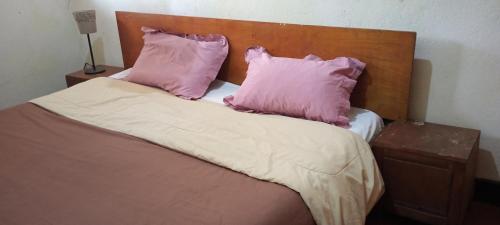 Daliko Farm的床上有两张粉红色枕头