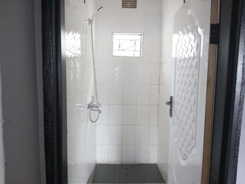 利文斯顿Ramachi apartments的带淋浴的浴室,带窗户
