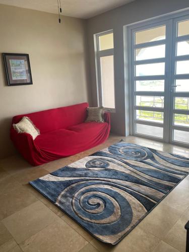 Long SwampTop of the Hill Blue Sunshine的客厅配有红色沙发和地毯