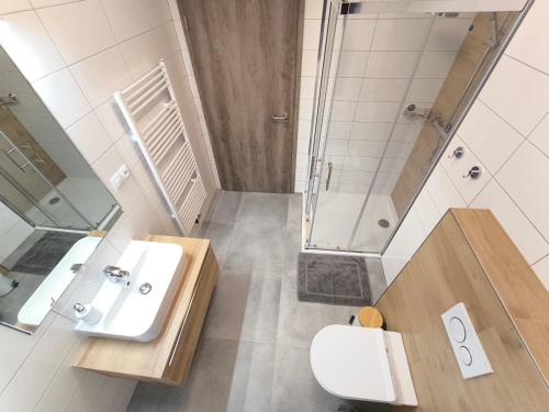 霍尼普拉纳Apartmány Lipno-Hory的一间带水槽、淋浴和卫生间的浴室