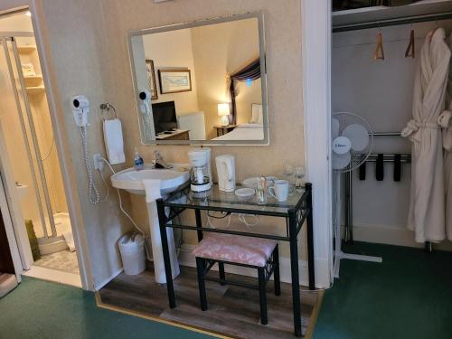加纳诺克Ruby Manor Bed & Breakfast的一间带水槽和镜子的浴室