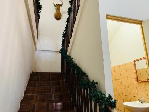 康塞普西翁德阿塔科Sucursal del Cielo的墙上有带圣诞花环的楼梯
