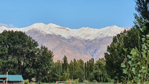 山景或在公寓看到的山景