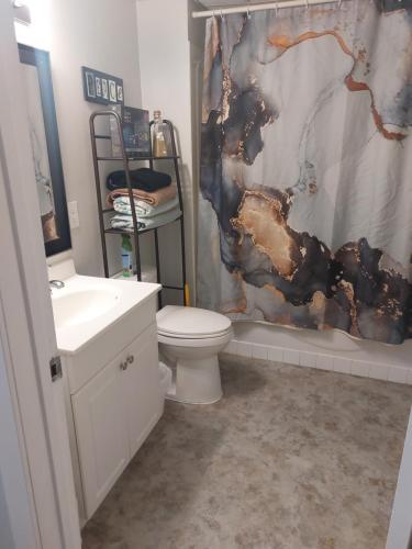 里贾纳Newly Renovated Suite的一间带卫生间和淋浴帘的浴室