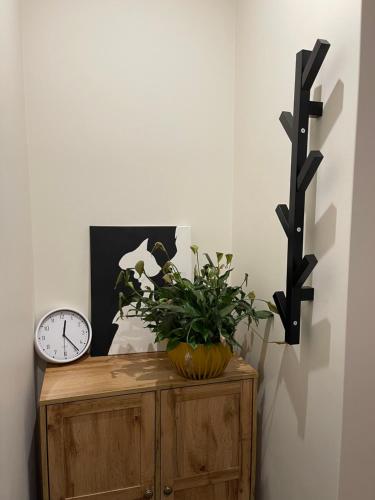 奥格雷Cozy Corner in Ogre的一张桌子上挂着时钟和植物
