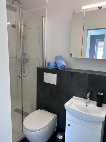 汉诺威Hochwertige City & Messewohnung的浴室配有卫生间、盥洗盆和淋浴。