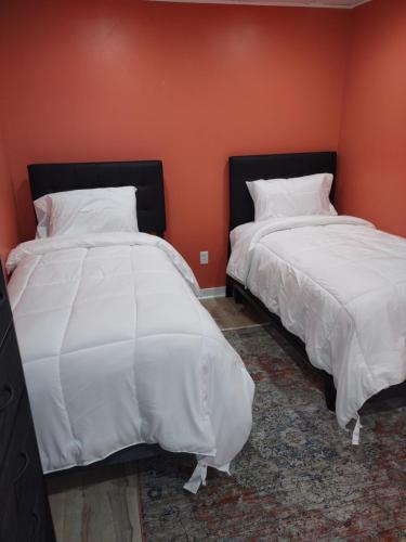 埃尔迈拉Unique Center Of Downtown Elmira的两张睡床彼此相邻,位于一个房间里