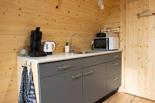 BaardCamping pod: Lyts Dekema 2的厨房配有水槽和微波炉