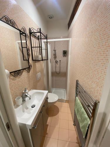博洛尼亚拉皮亚泽塔德拉皮奥奇亚住宿加早餐酒店的一间带水槽、卫生间和淋浴的浴室