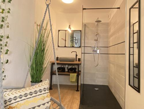 卢尔德L Escapade Lourdaise Balcon Parking Wifi ville的设有带秋千的淋浴的浴室