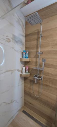 奥拉迪亚SIA Studio的带淋浴和盥洗盆的浴室