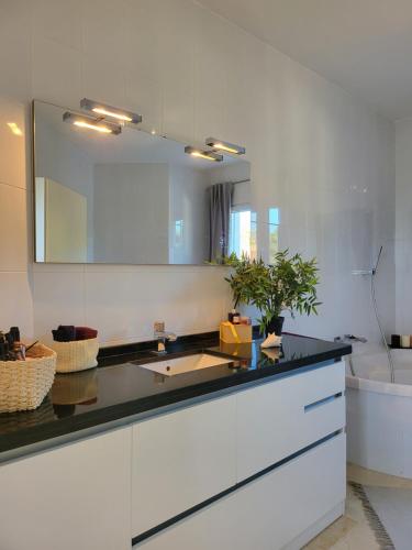 马贝拉Sapore di mare Luxury B&B and Cooking的浴室配有盥洗盆、镜子和浴缸