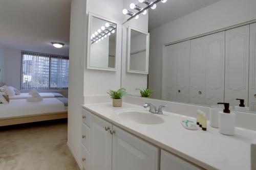阿林顿Sensational Condominium @Crystal City的一间带水槽和大镜子的浴室