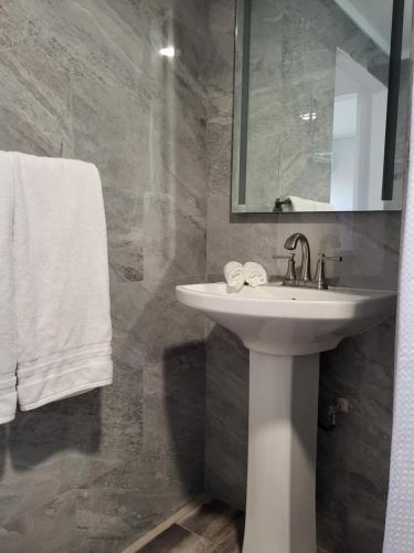 NaguaboTierra Adentro Bed and Breakfast的浴室配有盥洗盆、镜子和毛巾