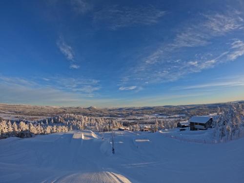 耶尔夫瑟Toppvillan - Ski In - Ski Out - 200 m till toppen och cykelleder的雪地中滑雪场的景色