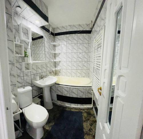 布勒伊拉Apartament Dany的浴室配有卫生间、盥洗盆和浴缸。