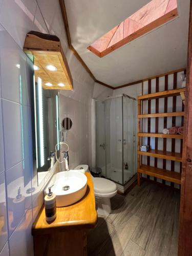 Puerto CorralHuiro Lodge的一间带水槽、卫生间和淋浴的浴室