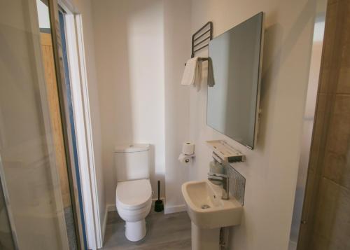 纽波特Self-Service En-Suite Rooms by Property Promise的一间带卫生间、水槽和镜子的浴室