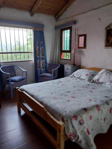 圣米格尔·德·图库玛Casa de campo en tafi del valle的一间卧室配有一张床、两把椅子和窗户
