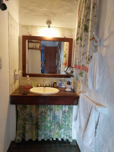 圣米格尔·德·图库玛Casa de campo en tafi del valle的一间带水槽和镜子的浴室