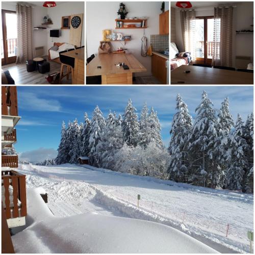 TrévigninAppartement 5 personnes en station Savoie Grand Revard的三幅画的拼贴画,上面有雪覆盖的树木